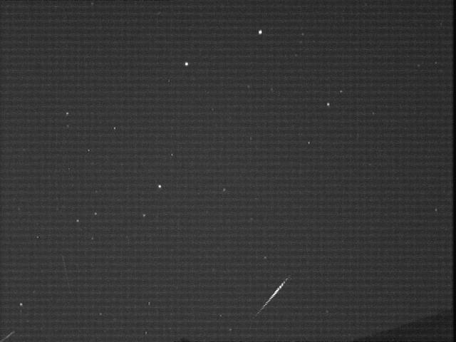 Figure 4- A tau-Herculid meteor captured by CAMS-BeNeLux video station of Martin Breukers in Hengelo (the Netherlands), on May 31st, 00h 35m UT. Credit: CAMS-BeNeLux, Marc Hengelo