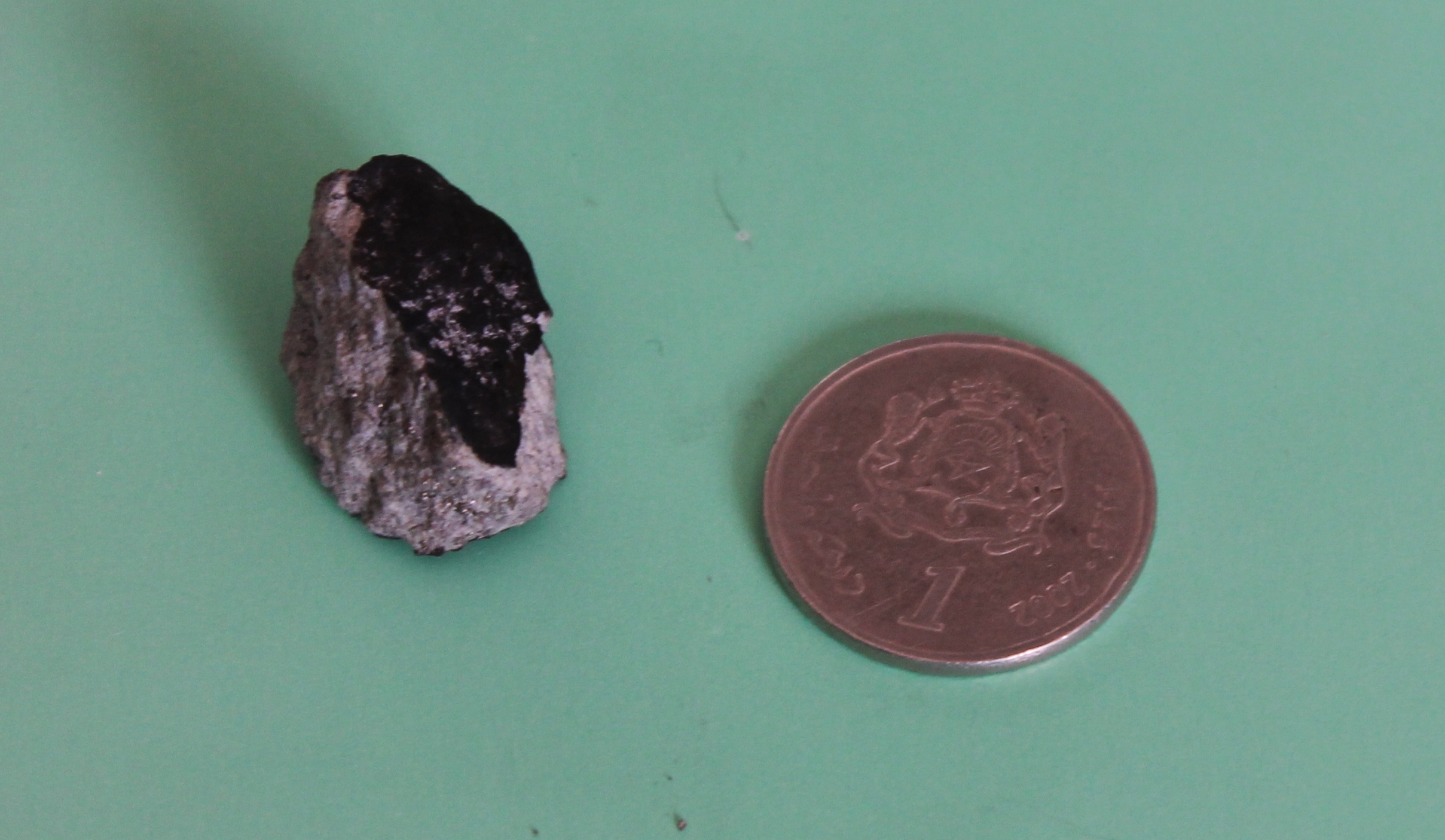 Igdi meteorite fragment showing an intact black fusion crust.