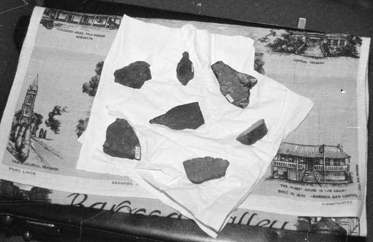 Some meteorite samples (credit Péter Spányi).
