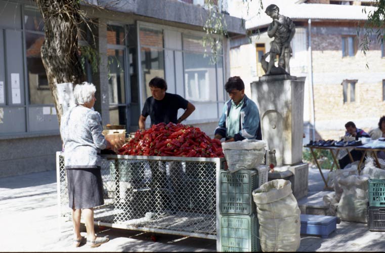 A typical local market (credit Axel Haas).