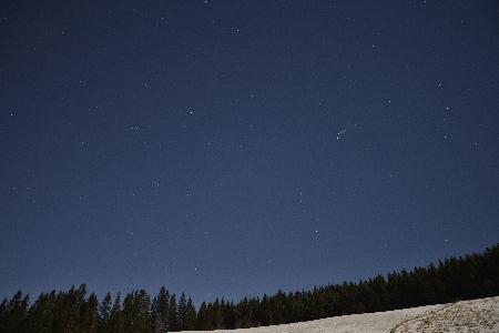 2 Geminids on December 13 uploaded by Kai  Gaarder