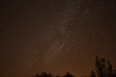 -3 Mag Perseid on August 12. photographed from Cyprus uploaded by Kai  Gaarder