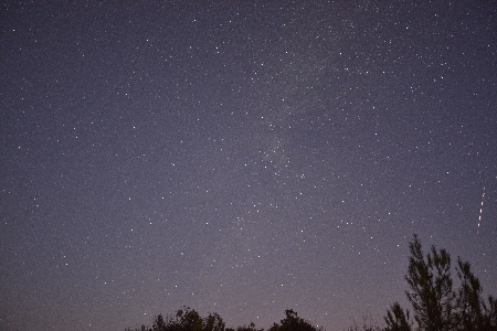 -3 Mag Perseid on August 12. photographed from Cyprus uploaded by Kai  Gaarder