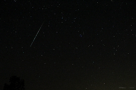 Geminids shower 2015 uploaded by Kiran Thombare