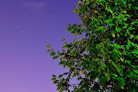 perseid in Parma, Italy 2011 uploaded by Roberto Porto Mata