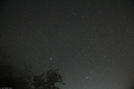 Geminids 2017 uploaded by Yashodhan Panse