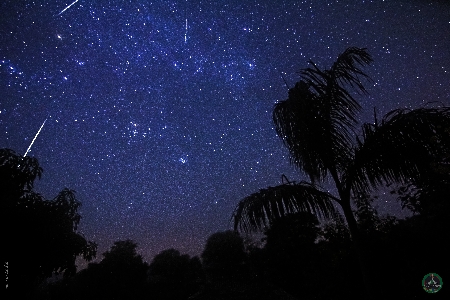 Geminids Meteor Shower 2017 uploaded by Neeraj Ladia