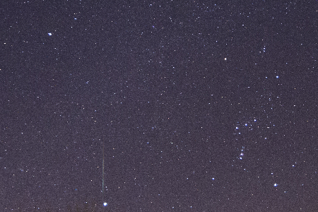 Geminid near Sirius uploaded by Radu Brotoiu