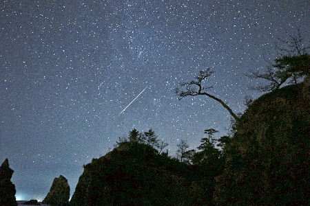 Perseid meteor uploaded by  