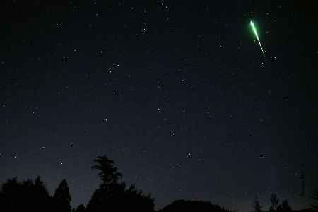Leonid fireball uploaded by  