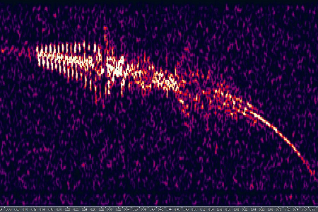Radio Meteor 20191215_030625 utc uploaded by  