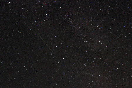 Perseid in Cygnus uploaded by Steve Brown