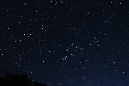 Leonid 2020 near Orion uploaded by Mayuresh Prabhune