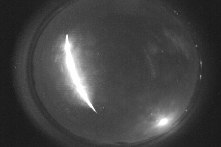 Event: 2972-2021 uploaded by Dwayne Free