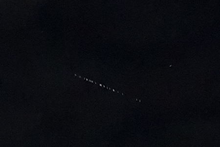 Sightings May 17 Night uploaded by Aneesh Mohan