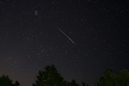 Perseid meteor uploaded by  