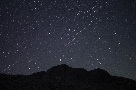 19 Perseids 2021 uploaded by Peter C. Slansky