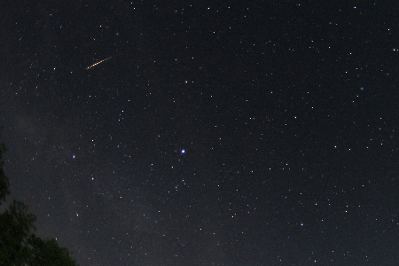 Sporadic meteor uploaded by Zsolt Pető