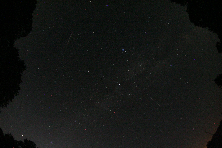Bright PER 11.08.23 20:59 UT uploaded by Ivan Sergey