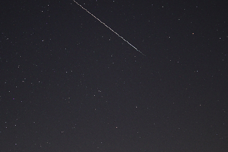 Geminid meteor between Orion and Taurus uploaded by Steve Brown