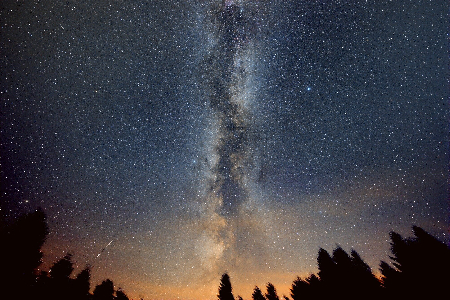 Bright sporadic uploaded by Miloslav Macháček
