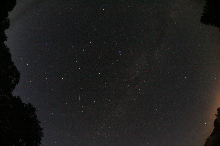 Perseid 10.08.24 19:59 UT uploaded by Ivan Sergey