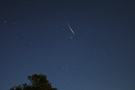 Perseid meteor in Taurus and above the Pleiades uploaded by Steve Brown