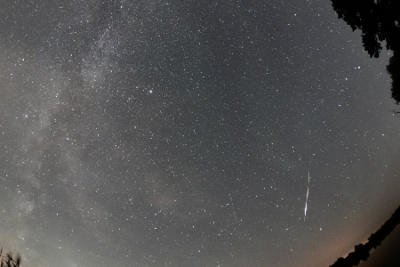 Perseid fireball  uploaded by Jurgen Rendtel