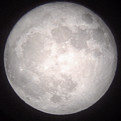 Jokūbas Jaruševičius