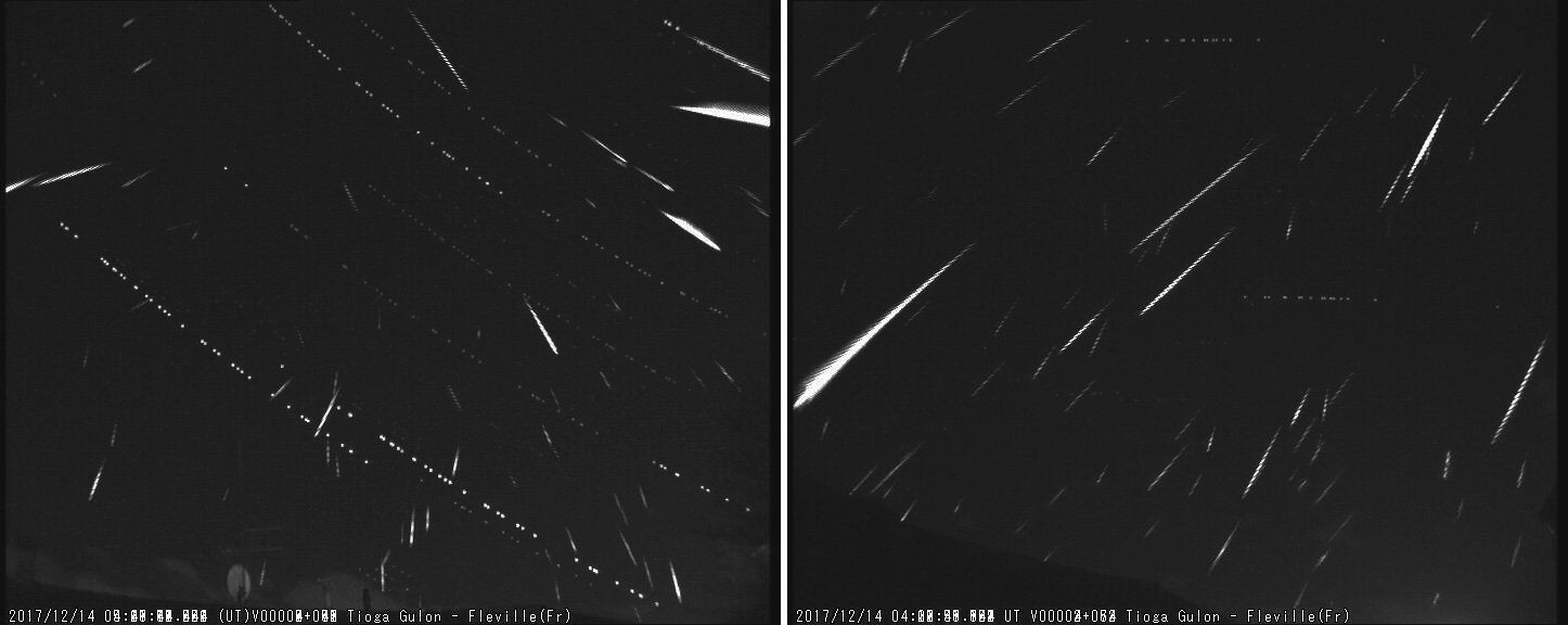 Composite pictures showing 71 and 66 Geminids as captured from Eastern France by Tioga Gulon, in December 13/14 night. Credit: Tioga Gulon