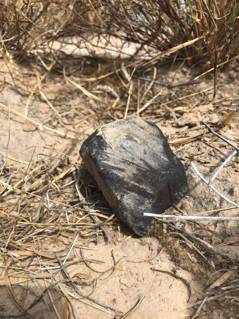 Figure 9- 500 to 600 g meteorite found by Robert Ward in Southern Texas. Credit: Robert Ward
