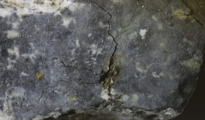 Figure 4a- Meteorite close-look showing the glossy melt crust and the inclusions in the meteorite. Credit: Jürgen Rendtel